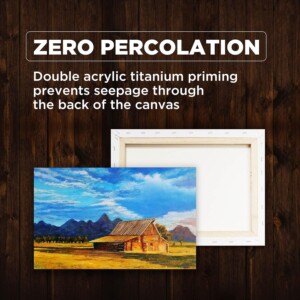 Pidilite Fevicryl Fine Art – Canvas Board