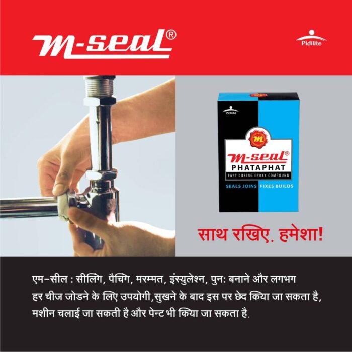 Pidilite M-Seal Phataphat
