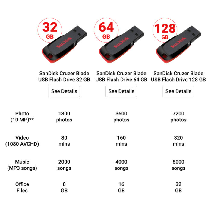 SanDisk Cruzer Blade USB Flash Drive
