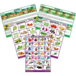 Spectrum Educational Picture Chart