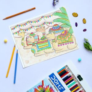 Doms Colour Pencils