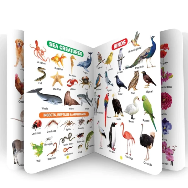 All-in-One Learning Book for Kids
