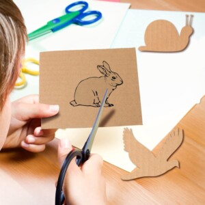 Mountboard Cardboard Sheet
