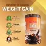 Patanjali Nutrela Weight Gain - Chocolate Flavor - 500g