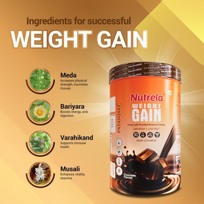 Patanjali Nutrela Weight Gain - Chocolate Flavor - 500g