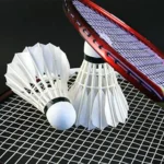 Nylon and Feather Badminton Shuttlecock