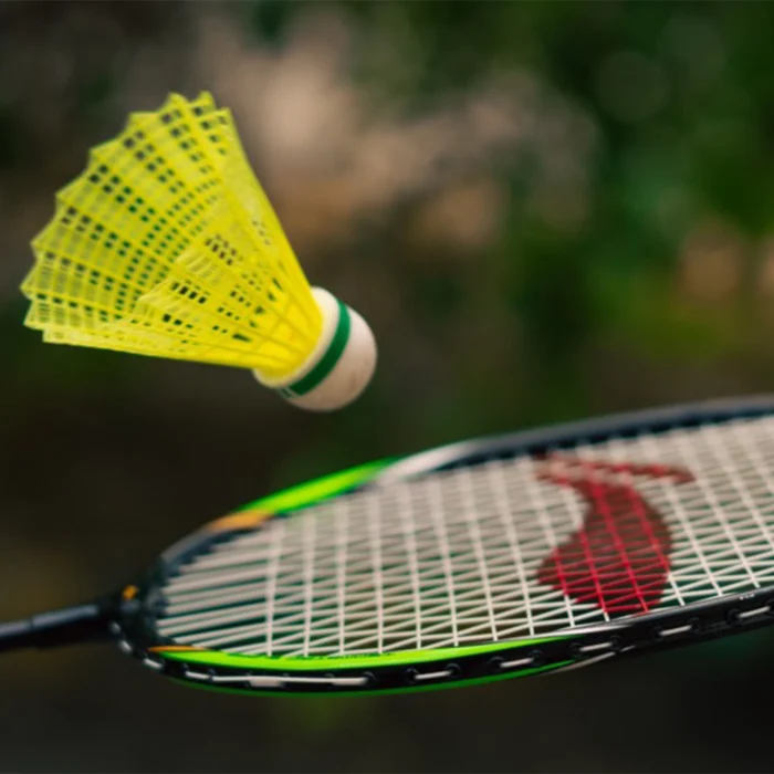Nylon and Feather Badminton Shuttlecock