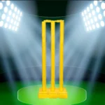 PVC Cricket Wicket Stumps