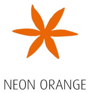 017 Neon Orange