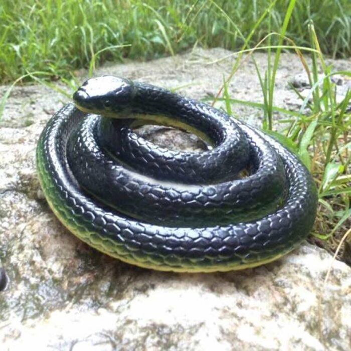 Realistic Rubber Snake