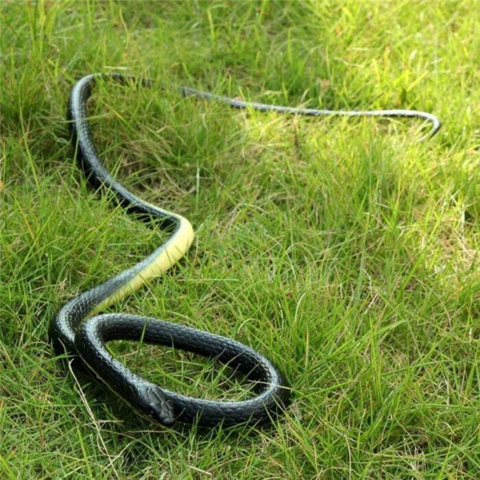 Realistic Rubber Snake
