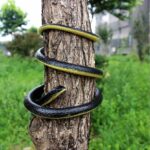 Realistic Rubber Snake