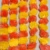 Orange & Yellow