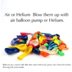 Party Decoration – 12 Inch Balloons