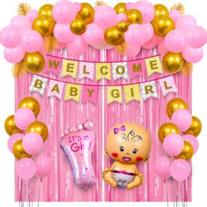 Party Decoration – Welcome Baby Girl Decoration Set