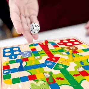Ludo Pawns & Dice Pack