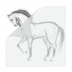 A4 Artist's Tracing Paper (Butter Paper) - Image 3