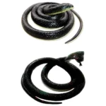 Realistic Rubber Snake, Prank Toy