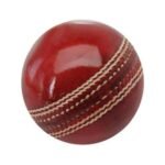 Cricket Season Leather Ball, Premium